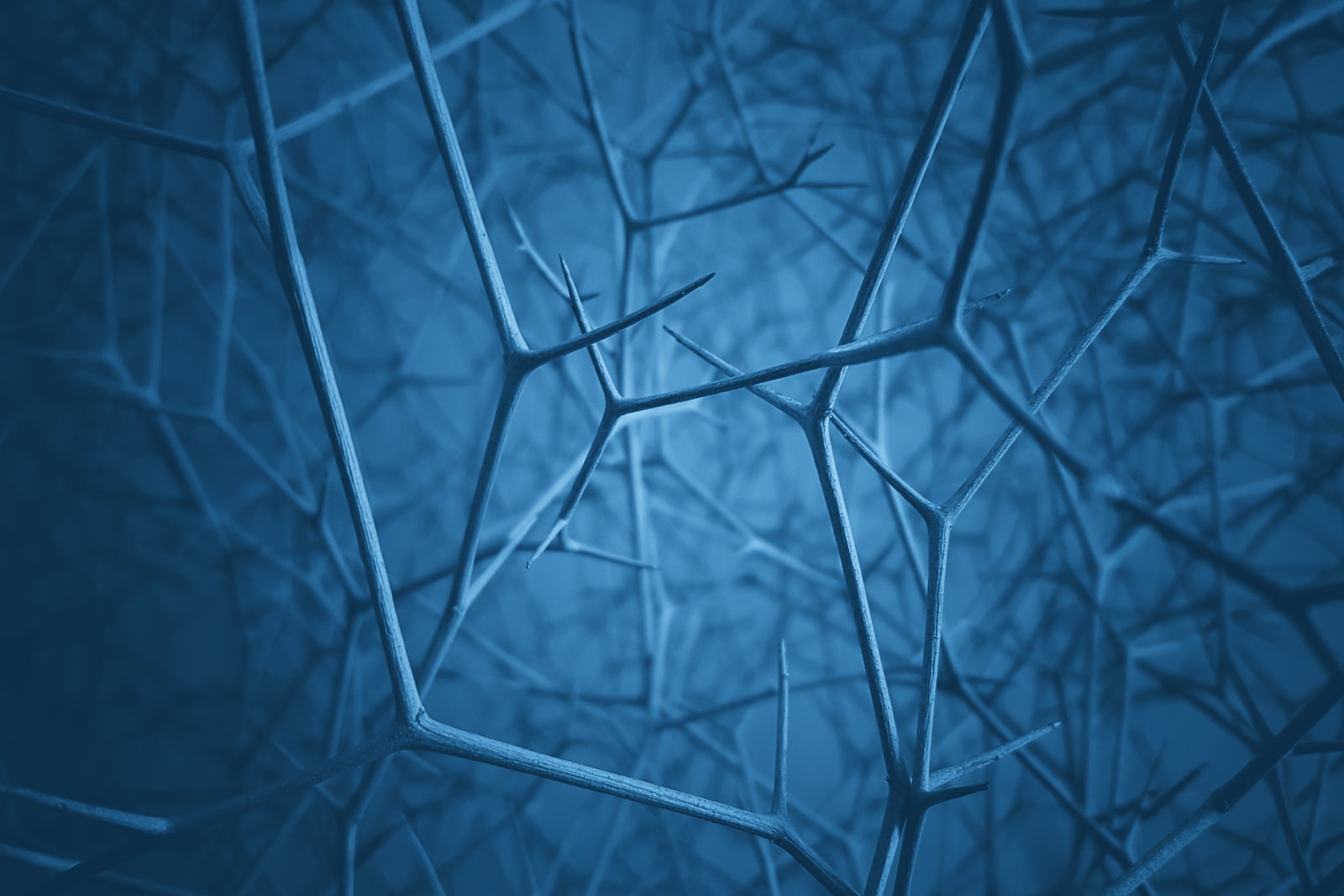 2025 SCGCS School -Topological Symmetries and Defects in Quantum Field Theory (School)